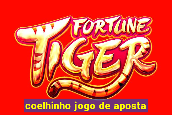 coelhinho jogo de aposta