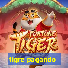 tigre pagando