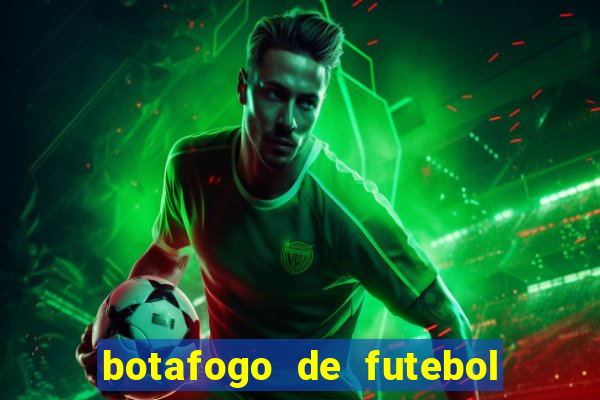 botafogo de futebol e reg