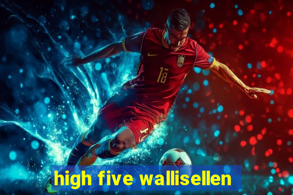 high five wallisellen