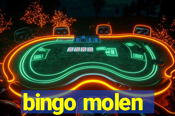 bingo molen