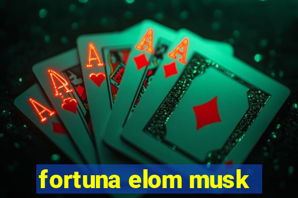 fortuna elom musk