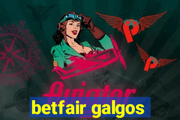 betfair galgos