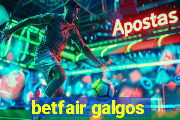 betfair galgos