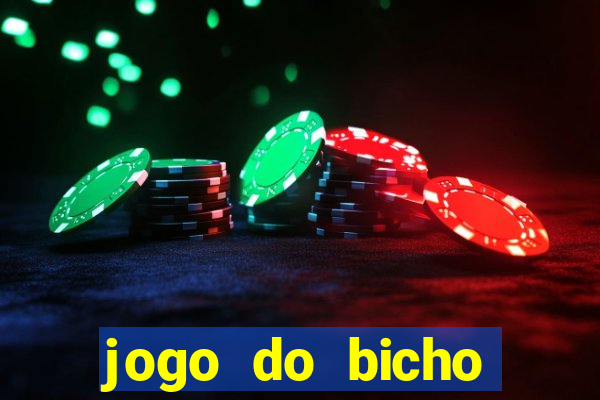 jogo do bicho documentario globoplay