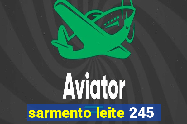 sarmento leite 245