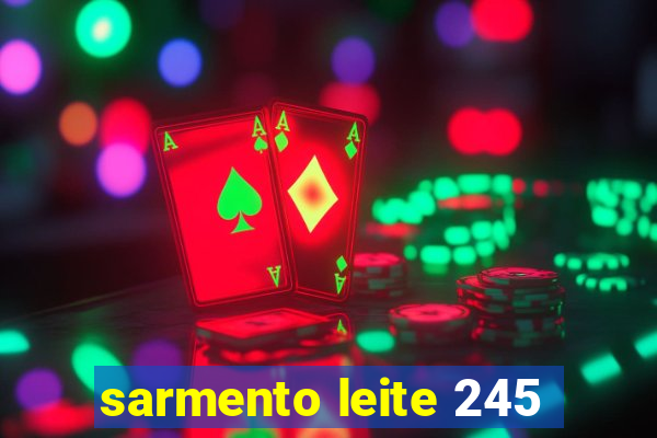 sarmento leite 245