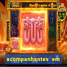 acompanhantes em nova mutum