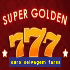 ouro selvagem farsa ouro selvagem o que aconteceu