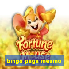 bingo paga mesmo