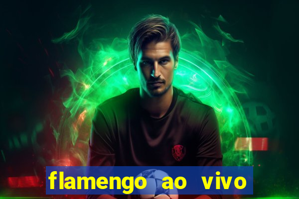 flamengo ao vivo multi tv