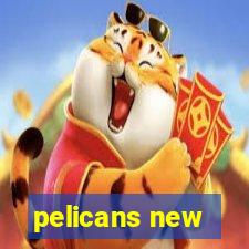 pelicans new