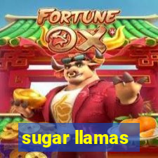 sugar llamas