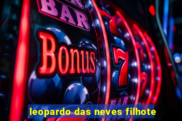 leopardo das neves filhote