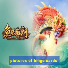 pictures of bingo cards