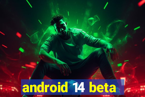 android 14 beta