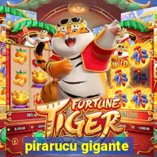 pirarucu gigante