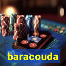 baracouda