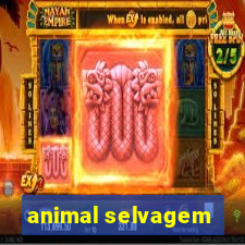 animal selvagem