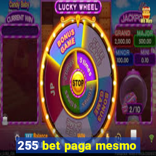 255 bet paga mesmo