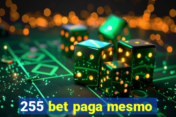 255 bet paga mesmo