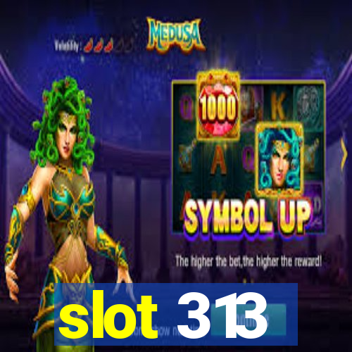 slot 313