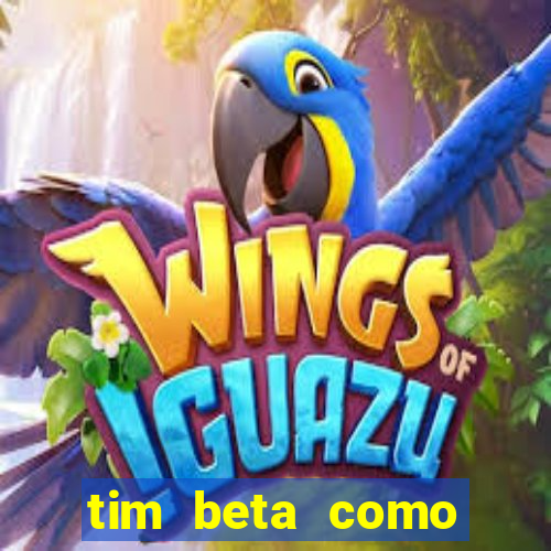 tim beta como renovar o pacote