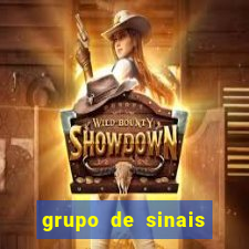 grupo de sinais fortune rabbit