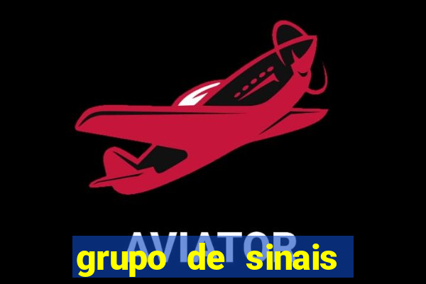 grupo de sinais fortune rabbit