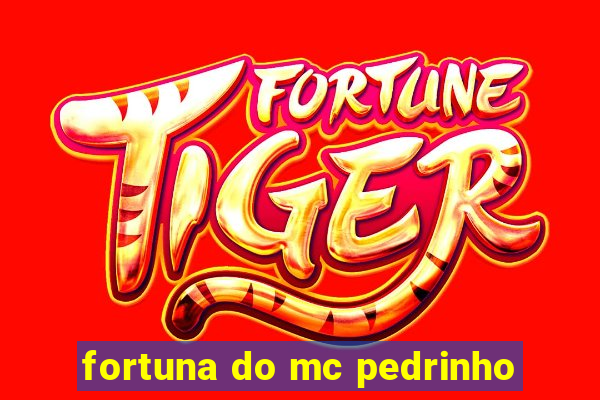 fortuna do mc pedrinho