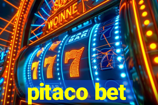 pitaco bet