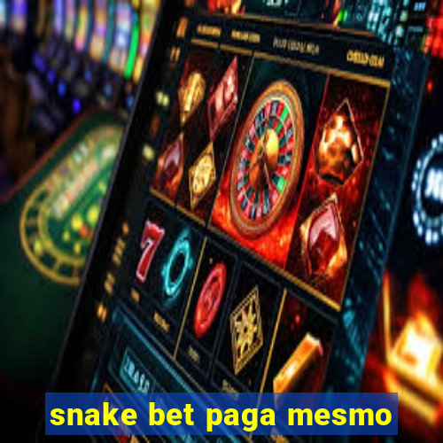 snake bet paga mesmo