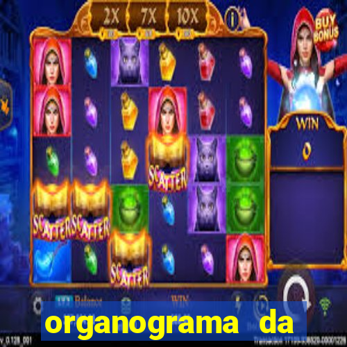 organograma da cacau show