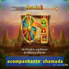 acompanhante chamada de video