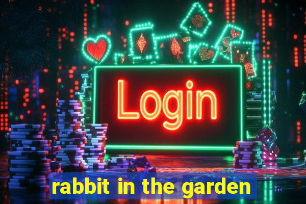 rabbit in the garden