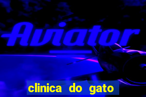 clinica do gato porto alegre