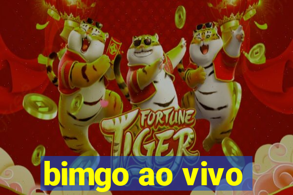 bimgo ao vivo