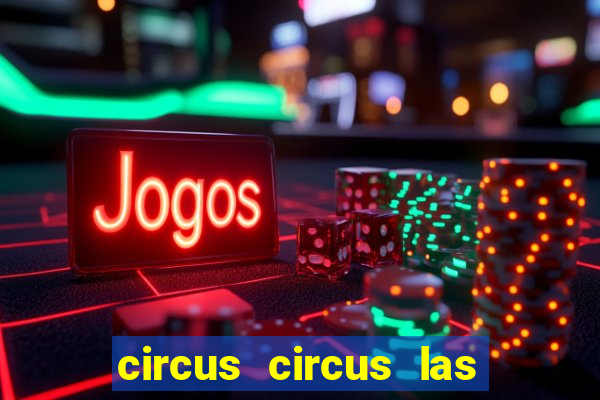 circus circus las vegas casino