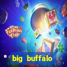 big buffalo megaways slot