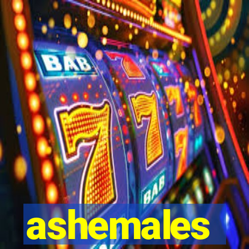 ashemales