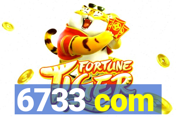 6733 com