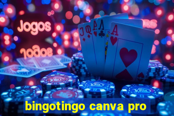 bingotingo canva pro