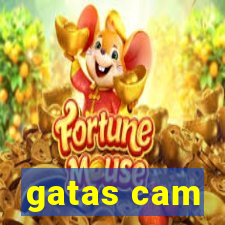 gatas cam