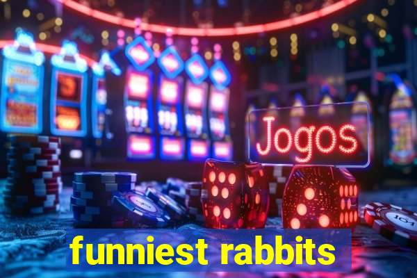 funniest rabbits