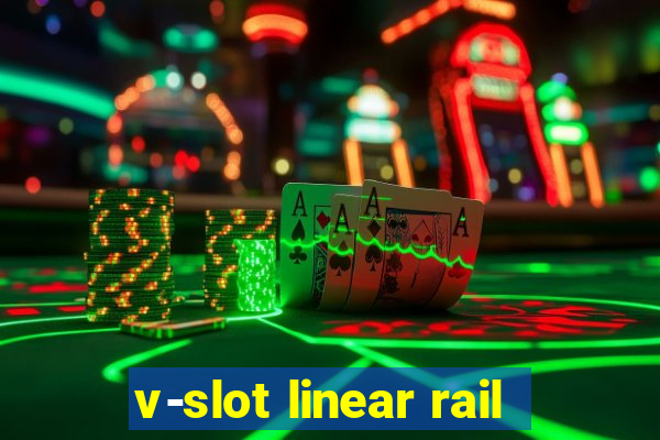 v-slot linear rail