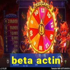 beta actin