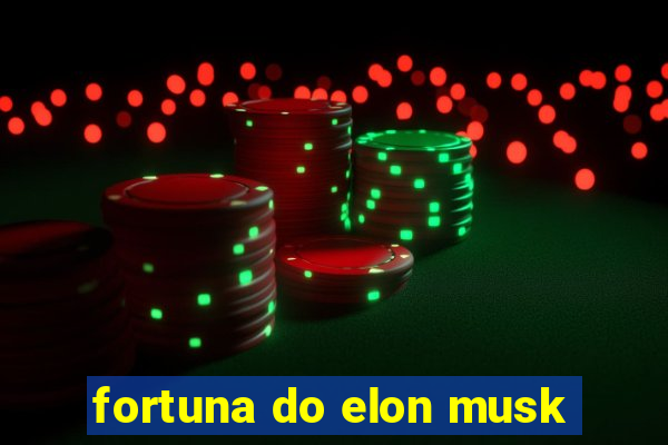 fortuna do elon musk