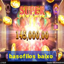 basofilos baixo