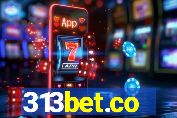 313bet.co