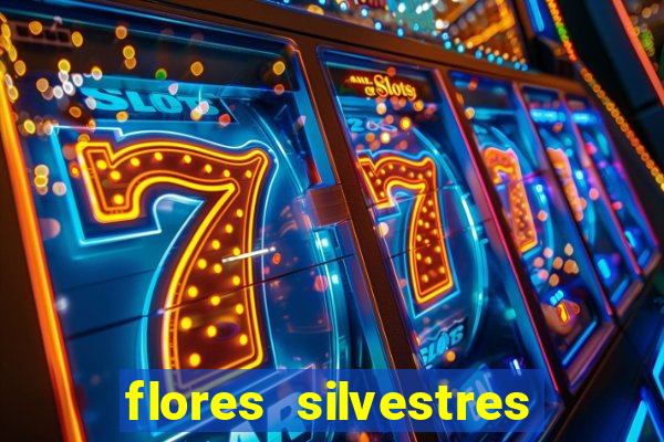 flores silvestres desbravadores desbravadores 25